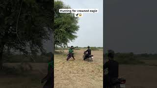 Hunting for crowned eagle 🦅😱 #crowned #eagle #hunting #farming #farmer #shorts