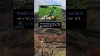 Kesildikten Sonra Ölmeyi Reddetti…