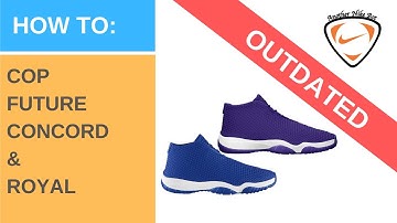 Another Nike Bot V0.28 - Future Concord and Royal - No Captcha