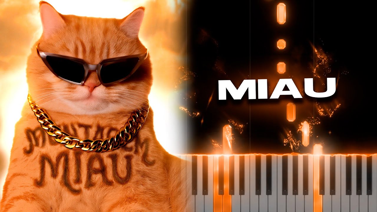 Montagem Miau - Piano Tutorial