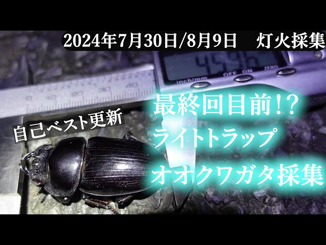 Night 4 [Final Episode] 