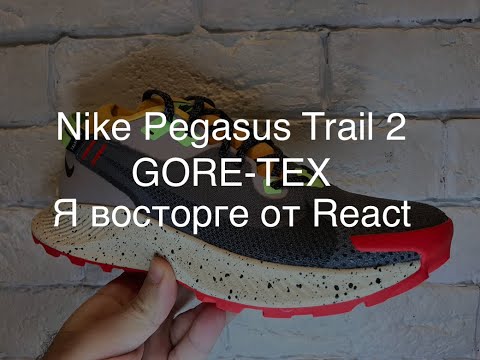 Nike Pegasus Trail 2 GORE-TEX обзор обзор обзор!