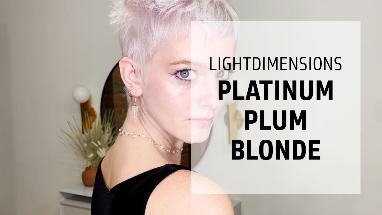 3. "Plum and Blonde Highlights" - wide 2