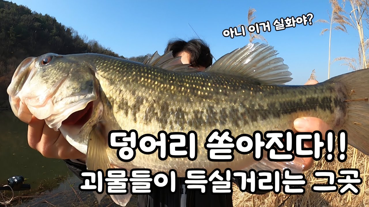 [EP13] 괴물만 산다는 그곳!! 덩어리 마릿수 대폭팔 손맛 징하게 보고 왔습니다 #배스 #배스낚시 #프리리그 #루어 #fishing 