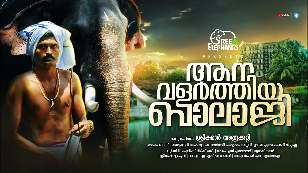 ആനകൾ സ്കൂളിൽ നിന്നും തട്ടിയെടുത്ത ഒരു വിദ്യാർത്ഥിയുടെ കഥ