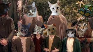 The Fellowship of the Ring but it's Cats || The Lord of the Rings