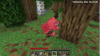 minecraft java live with crafter boy