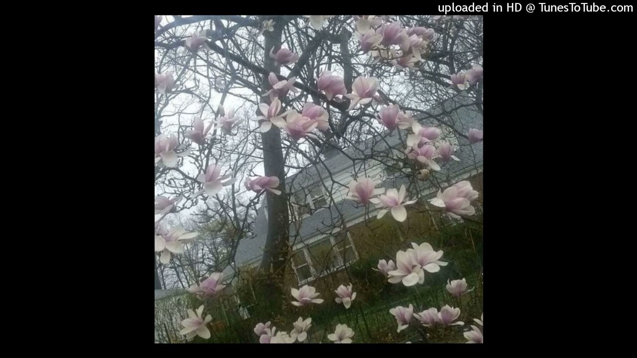 [free] soundcloud + kurai + ambient type beat