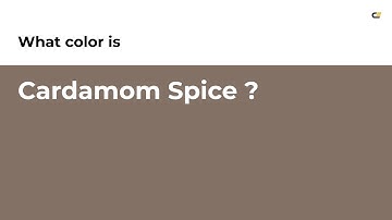 Cardamom Spice color #837165 hex color - Brown color - Cool color 837165