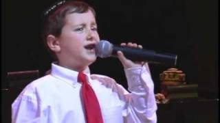 Video thumbnail of "Eli Gerstner - Av HaRachamim"