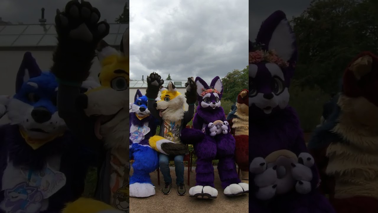 В прекрасном настроении: встреча фурри в идеальную погоду! 😇 