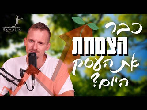 איך לייצר אקו סיסטם שיצמיח את העסק שלנו שלוש דקות על שיווק ועסקים 