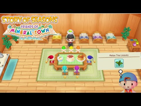 Story Of Seasons Relax Tea Leaves