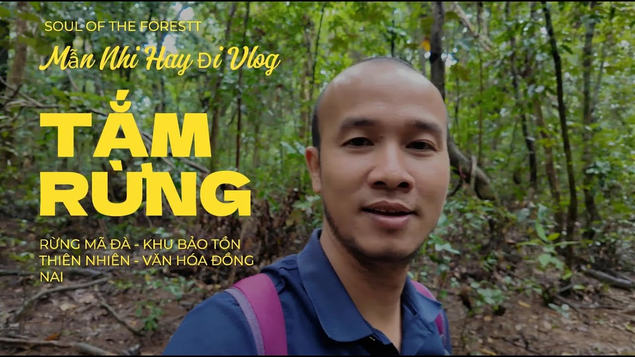 Đi Tắm Rừng Mã Đà  thuộc Khu Bảo Tồn Thiên Nhiên - Văn Hóa Đồng Nai | Nguyễn Ngọc Mẫn