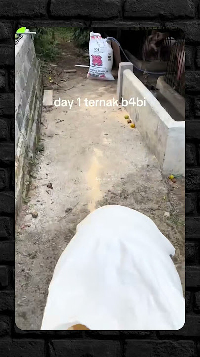 babi aja disuruh diem ngerti , temen gw disuruh diem malah makin ngoceh 🗿 #shorts #fyp