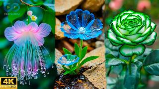 Las Flores Más Preciosas y Extrañas del Mundo - que Definitivamente Debes Admirar | Toplora