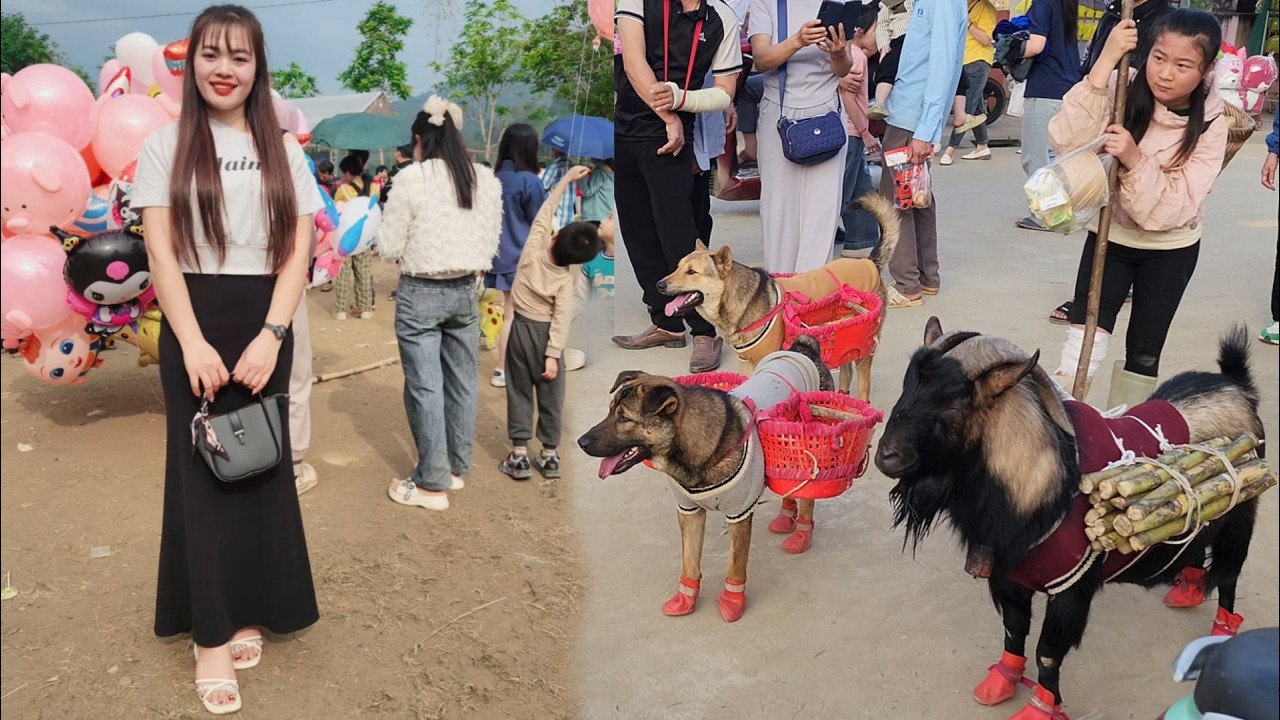 Catching the unique and interesting points at the festival. Can’t refuse repair to VIP customer.