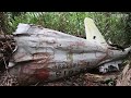 朽ちた米軍の輸送艦、ジャングルに眠る零戦…南洋に今も
