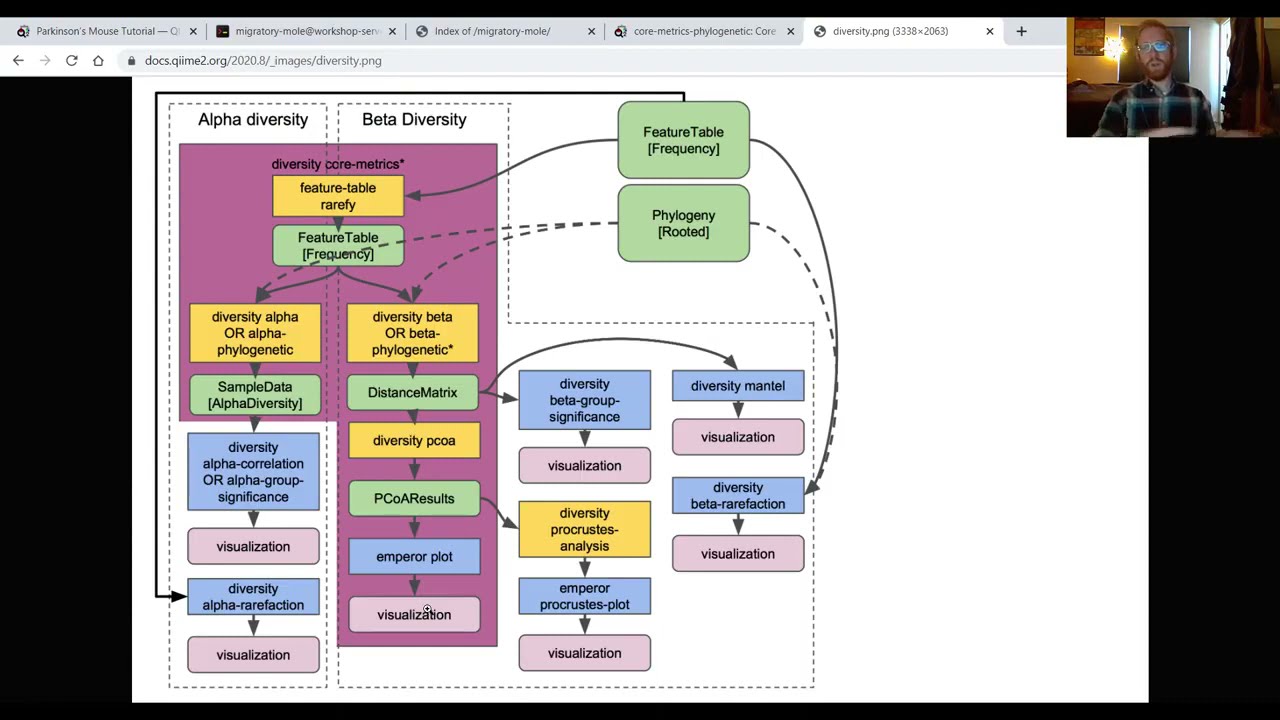 Qiime Beta Diversity Tree Clipart