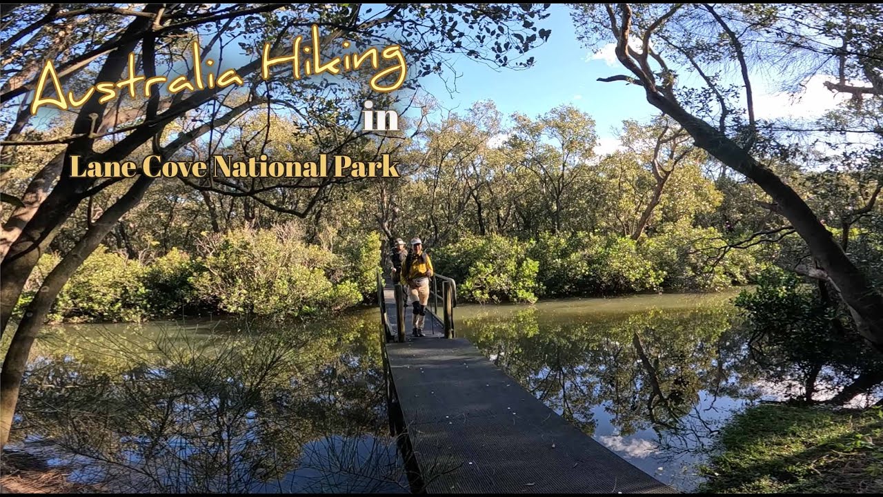 Sydney Hiking Lane Cove National Park (Hunters Hill)