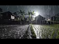 Night Heavy Rain Sounds in Rice Field Villages Near Cozy Rural Homes for Sleeping and Calm