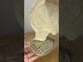 セブン増量第2弾おすすめはこれ