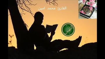 سورة الشمس القارئ محمد امين