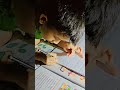बिजली गई,, मेंहनत नहीं 📚✨#youtubeshorts #cutekids #kidsfun #kids #study #shorts