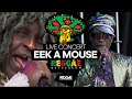 Eek a Mouse's Unforgettable Live Act: Reggae Rotterdam Festival's Insane Moment!