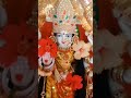 #video viral 🙏❤️🌹 #jaimatadi