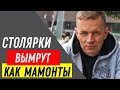 1 млн. в столярке — это УТОПИЯ! Столярные мастерские ВЫМРУТ как мамонты!