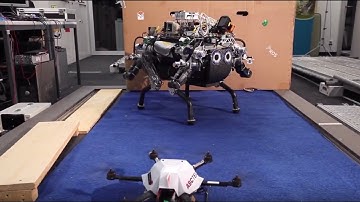Collaborative Navigation for Flying and Walking Robots