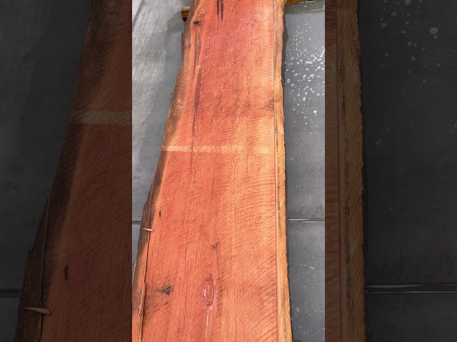 Old Growth Redwood Slab #10