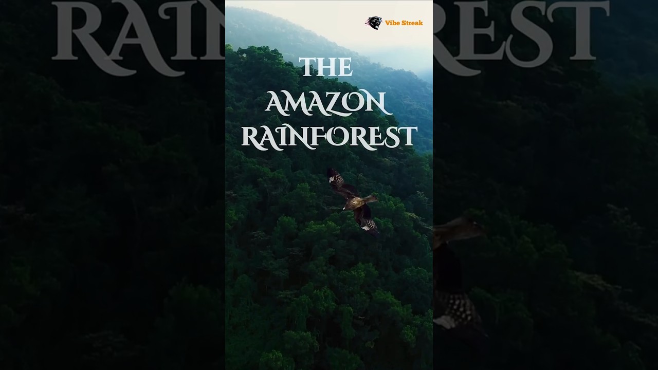 Amazon jungle : Inside the Amazon Rainforest: Nature’s Greatest Mystery 🌿🐆 #jungle #animals #facts