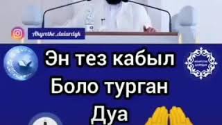 Эн тез кабыл боло турган дубалар