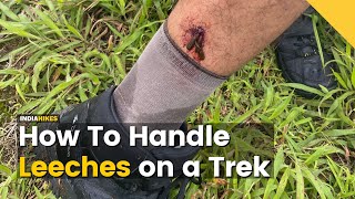 How To Handle Leeches On A Trek | Do It Yourself Trekking | Indiahikes