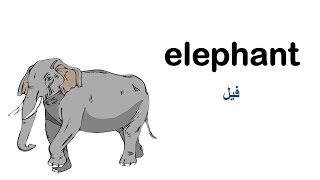 اسماء الحيوانات باللغة الانجليزية صوت +صورة animals