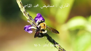 سورة غافر  الآية 60-65