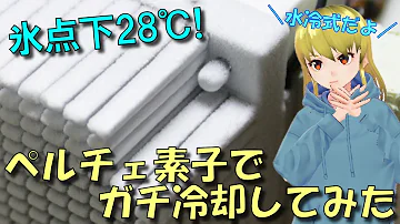تحميل ペルチェ素子 クーラー 車