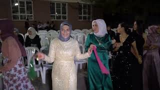 Hatice & Mehmet / Helete - Pazarcık Düğünü / 22.09.2024 / Konuk Sanatçı Kral Deniz