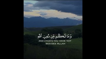 تلاوة هادئة وقصيرة || القارئ :  ياسر الدوسري || سورة : البقرة 🌷💚🌷