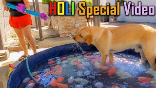 HOLI Special  Buddy Celebrating his First Holi + Pool Party