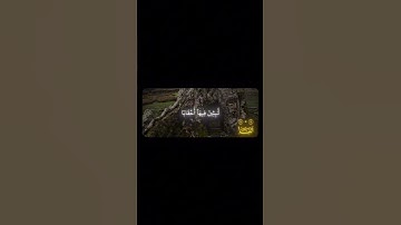سورة النبأ بصوت الشيخ ياسر الدوسري 🤍 #اكسبلور #لايك #explorepage #المصحف #yasseraldossary #free