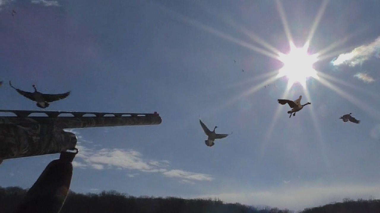Late Season River Ice Hole Goose Hunts