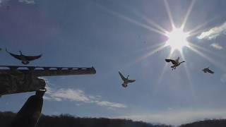 Late Season River Ice Hole Goose Hunts