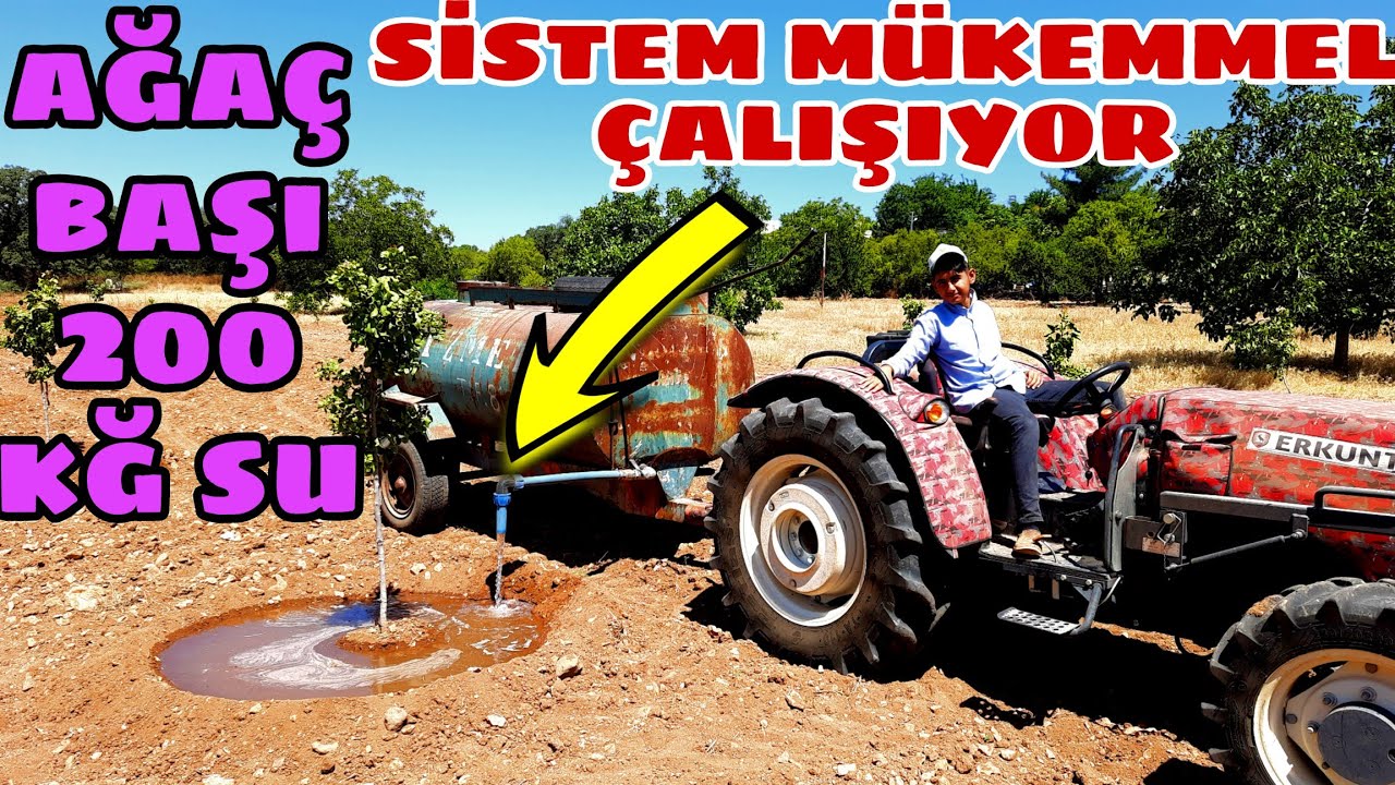 UCB-1 ve BUTTUM SULAMASINA BAŞLADIM... SULAMA SİSTEMİ MÜKEMMEL ÇALIŞIYOR. HER AĞACA 200 KĞ SU VERDİM