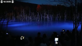 暗闇に浮かぶ「青い池」　幻想のライトアップ　北海道・美瑛
