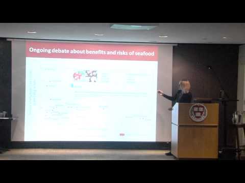 Harvard Food+ Research Symposium: Elsie Sunderland thumbnail
