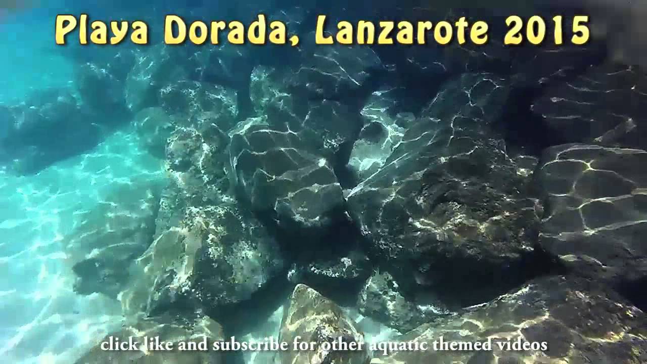Snorkeling Playa Dorada, Lanzarote Pt 1 YouTube