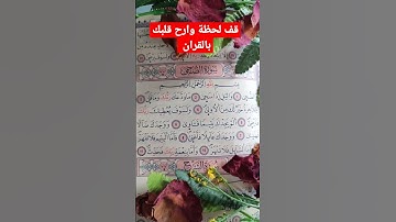 سورة الضحى بصوت جميل